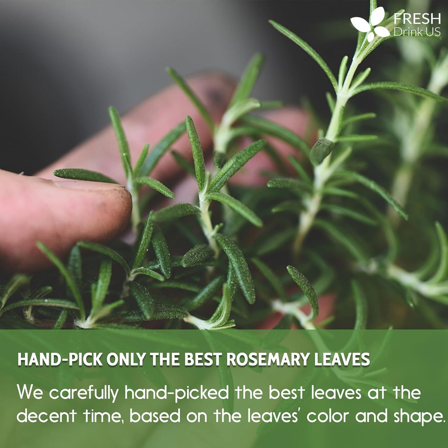 Premium Rosemary Leaves, Tea Bags, Powder, 100% Natural & Pure from Dried Rosemary Leaves, No Additives, No Caffeine, Vegan. Dried Rosemary Herb, Perfect for Seasoning, Spice Blends for Grilling & Cooking