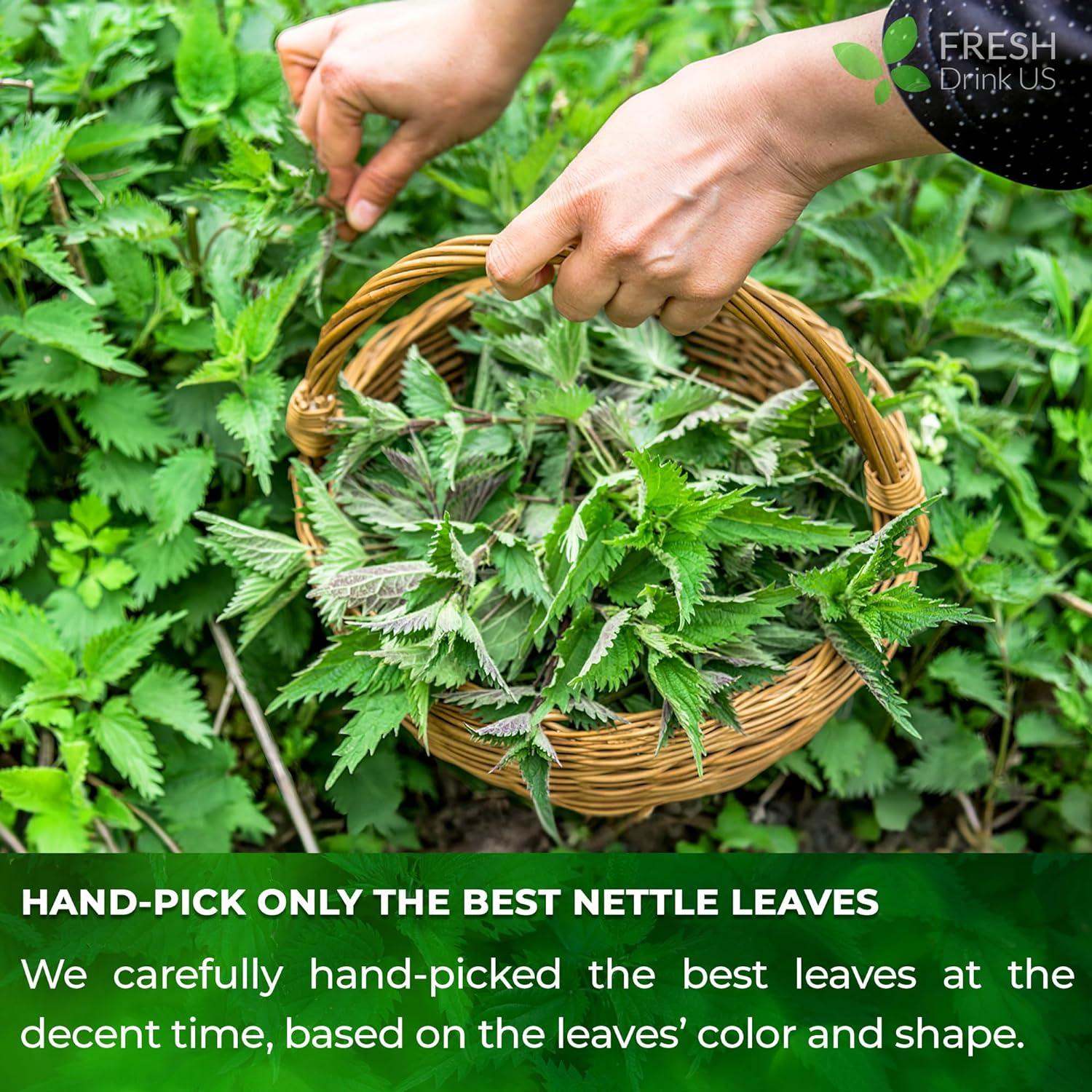 Premium Nettle Leaf Tea Bags, 100% Natural & Pure, Stinging Nettle Leaf Tea, Nettle Leaf Tea, Burn Nettle, Stinging Nettle, Nettle Tea, Stinger Tea, No Sugar/Caffeine & Gluten, Vegan