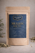Lung Support Bundle – Mullein Leaf Tea + Healing Lung Meal Plan (PDF)