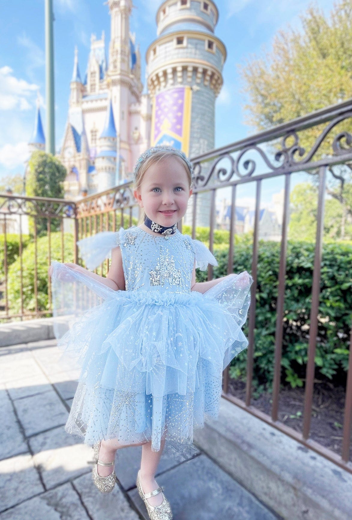 Little Princess Cinderella Girls Tulle Dress