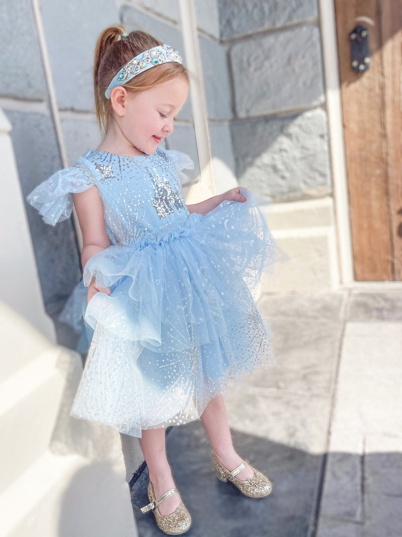 Little Princess Cinderella Girls Tulle Dress