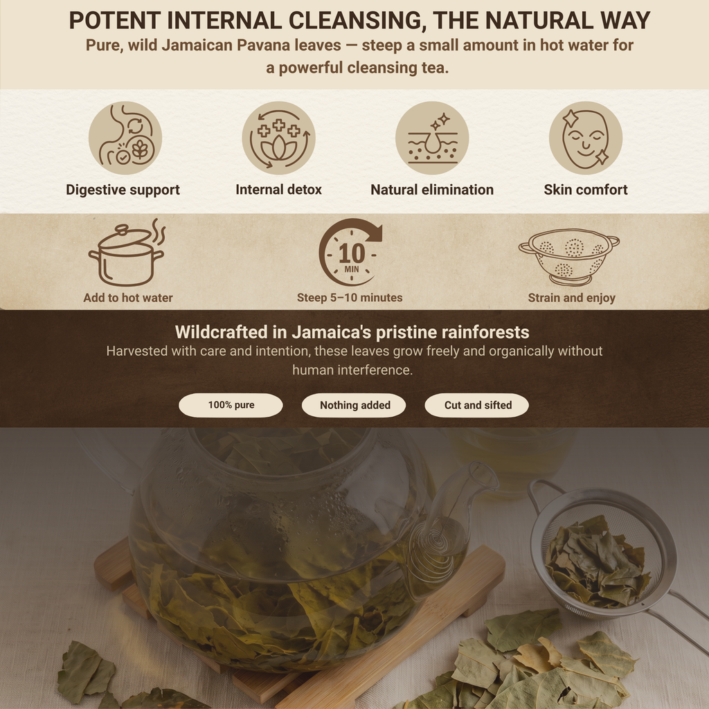 Pavana Leaves | Croton Tiglium | Dr Sebi Approved Alkaline Herb