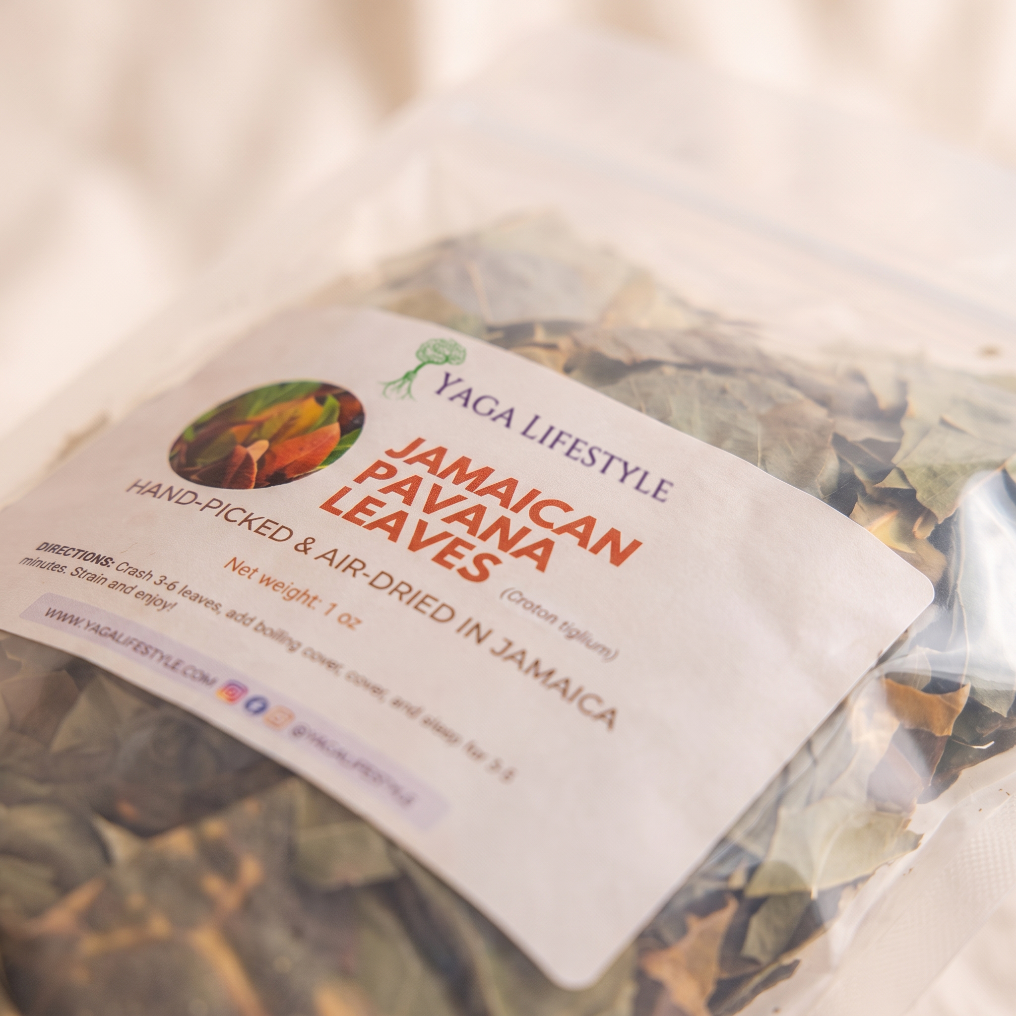 Pavana Leaves | Croton Tiglium | Dr Sebi Approved Alkaline Herb