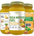 Maca, Mango & Ashwagandha Sea Moss Gel – 16oz | Organic Wildcrafted Irish Seaweed Superfood