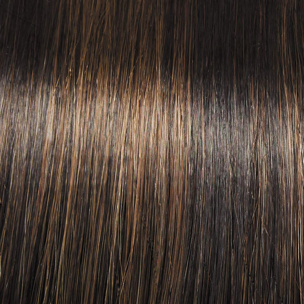 Raquel Welch Big Spender Wig, RL4/6 Black Coffee