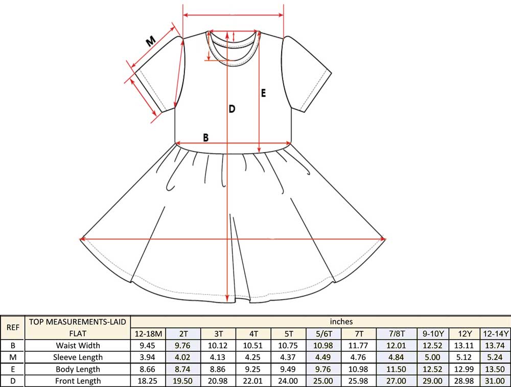 Little Princess Cinderella Girls Tulle Dress